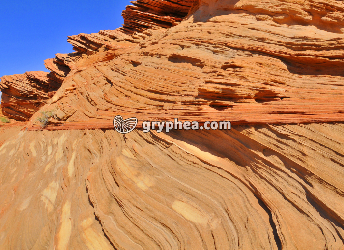 Stratification entrecroisée dans des grès - gryphea.org